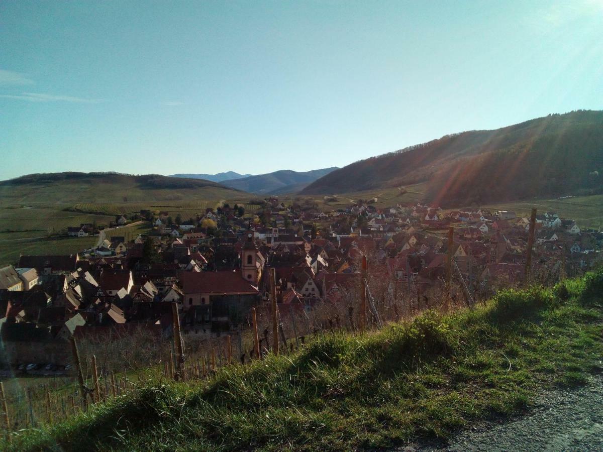 Le Gite De Coco Riquewihr Exteriör bild